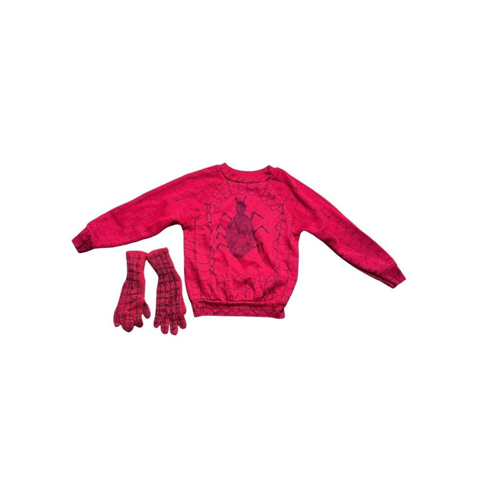 Spider-Themed Sweater With Gloves Set Halloween Spooky Costume Boys 3T-4T READ